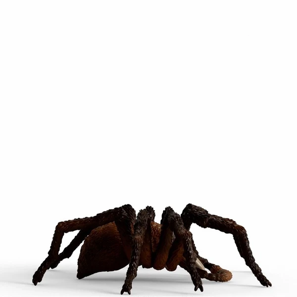 Schleich Wizarding World Aragog, Spielfigur 3 Schleich Wizarding World Aragog, Spielfigur - Image 3