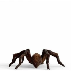Schleich Wizarding World Aragog, Spielfigur 8 Schleich Wizarding World Aragog, Spielfigur -Spielzeug Verkauf Schleich Wizarding World Aragog Spielfigur@@1908529 3