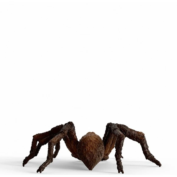Schleich Wizarding World Aragog, Spielfigur 4 Schleich Wizarding World Aragog, Spielfigur - Image 4