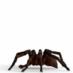 Schleich Wizarding World Aragog, Spielfigur 9 Schleich Wizarding World Aragog, Spielfigur -Spielzeug Verkauf Schleich Wizarding World Aragog Spielfigur@@1908529 4